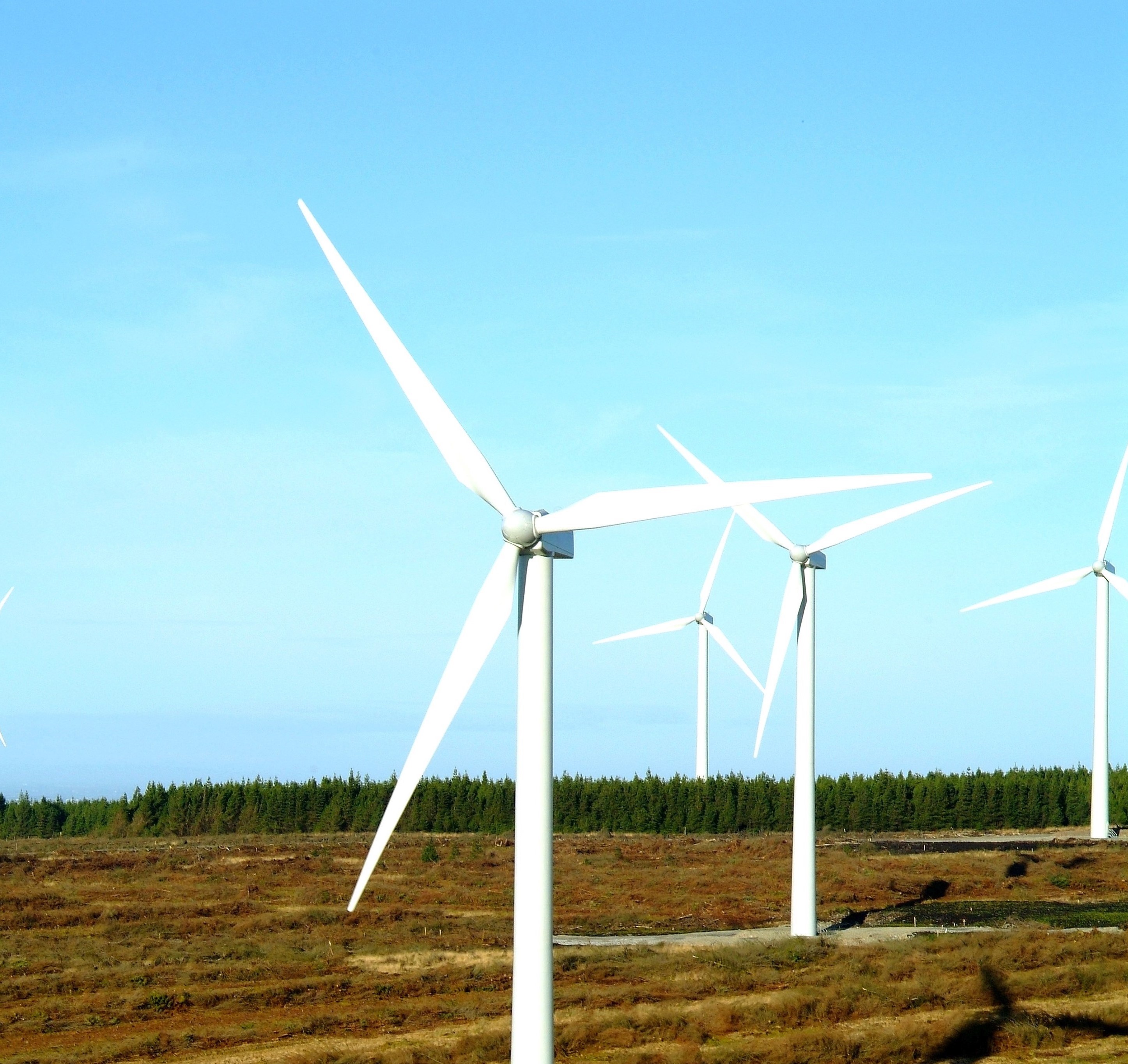 Derrybrien Wind Farm Newsletter May 2023